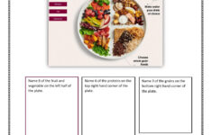 Canada 39 s Food Guide Questions Worksheet