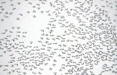 Connect The Dots Worksheets Hard Free Printable Worksheets Dot