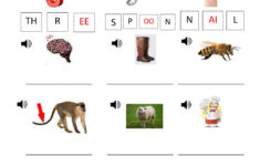 Review Phonics Grade 1 Worksheet