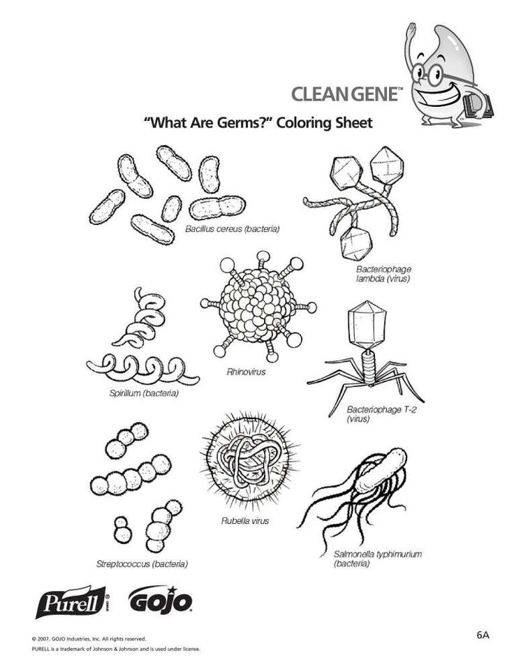 11 Bacteria Worksheet Preschool Hygiene Lessons Kindergarten 