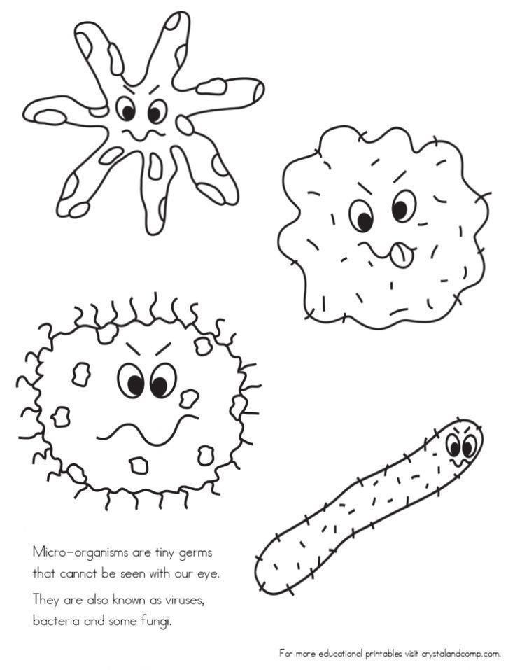 Germs Worksheets For Kindergarten No More Spreading Germs Coloring 