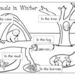 Hibernation Worksheets Printable For Kids