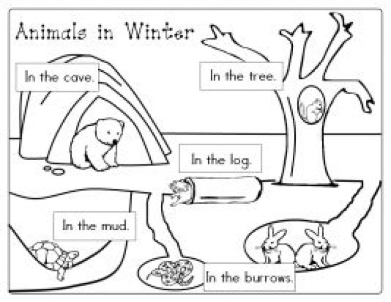 hibernation-worksheets-printable-for-kids-ronald-worksheets