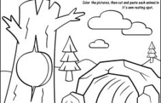 Hibernation Activity By Green Apple Lessons SCIENCE TpT