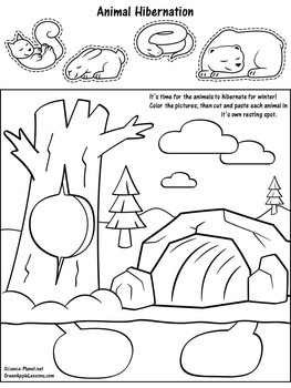 Hibernation Activity By Green Apple Lessons SCIENCE TpT