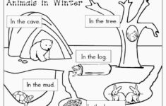 Hibernation Worksheet For Preschool Educational Template Design