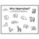 Preschool Hibernation Worksheets Printables