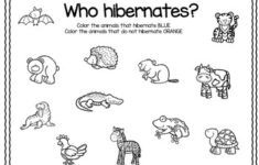 Hibernation Sort For Preschool By The Confetti Teacher TpT