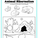 Preschool Hibernation Worksheets Printables