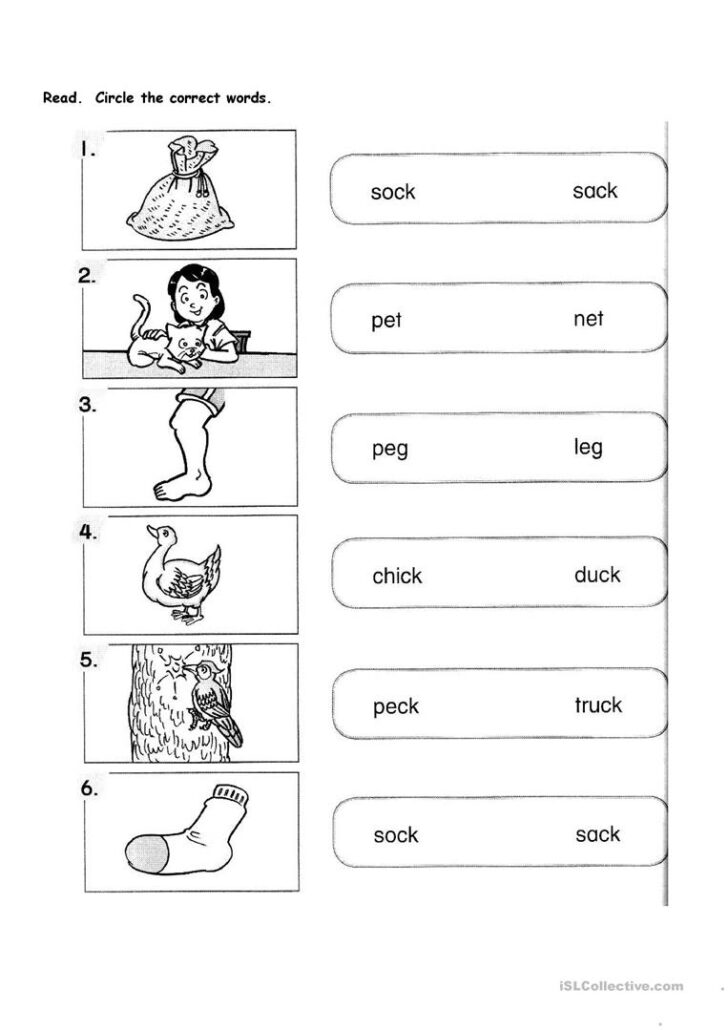 Primary 1 Worksheets Free Printable Ronald Worksheets 8882