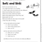 Reading Comprehension Worksheets Printable For Adults