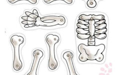 Skeleton Worksheet For Kindergarten Worksheet For Kindergarten