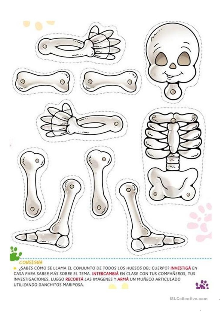 Skeleton Worksheet For Kindergarten Worksheet For Kindergarten 