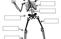 Label The Skeleton Worksheet Free ESL Printable Worksheets Made By