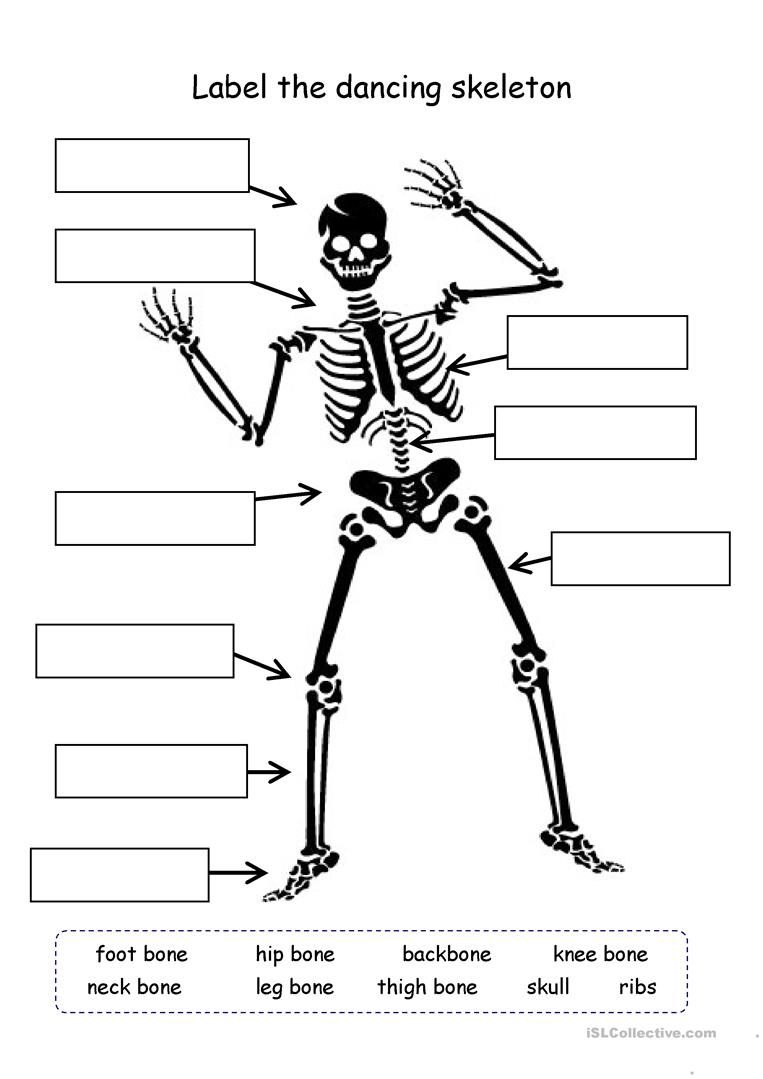 Label The Skeleton Worksheet Free ESL Printable Worksheets Made By 