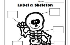 Free Printable Label A Skeleton Worksheet For Kids