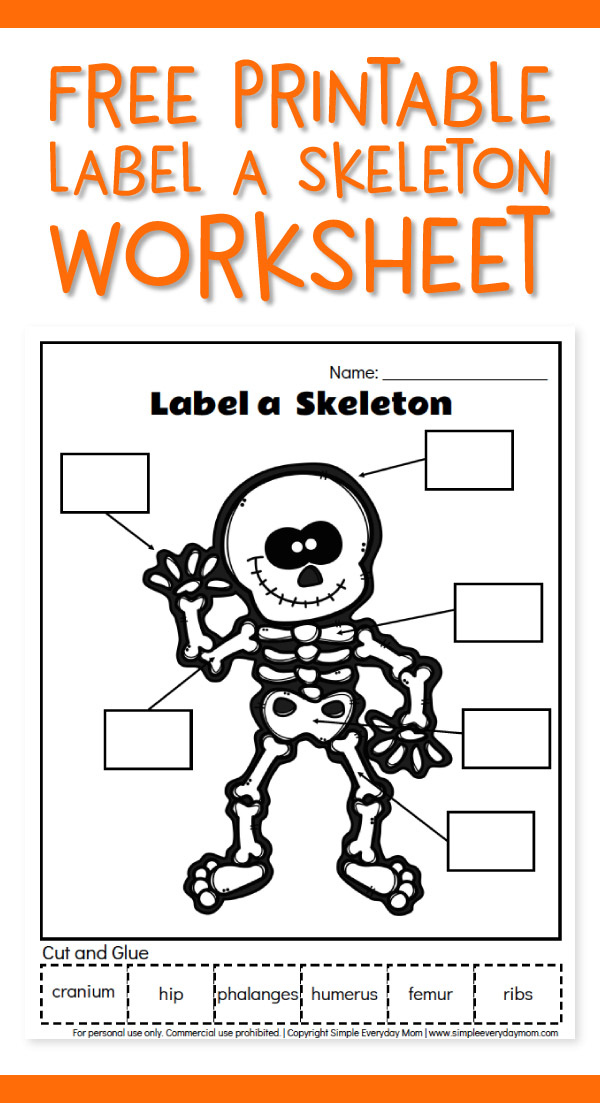 Skeleton Worksheets Printable