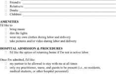 Free Birth Plan Worksheet PDF 144KB 4 Page s