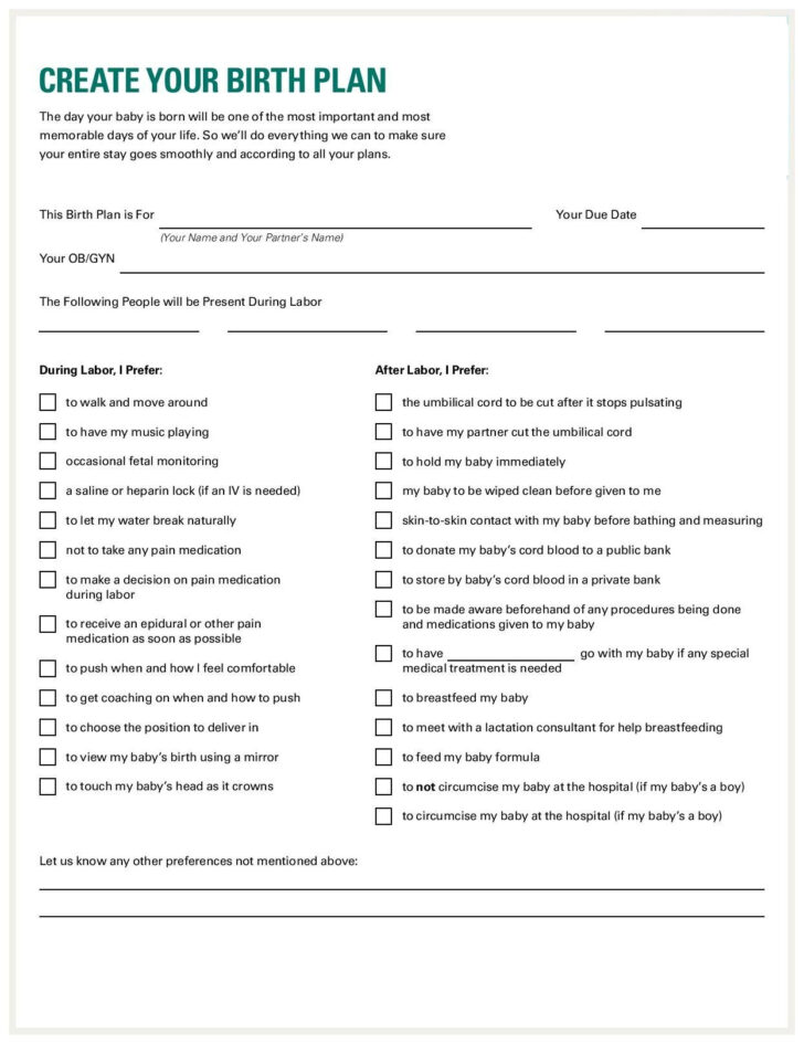 Worksheets Printable Birth Plan Worksheet | Ronald Worksheets