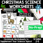 Christmas Science Worksheets No Prep Plants Animals Matter Winter Throughout Free Christmas Science Worksheets