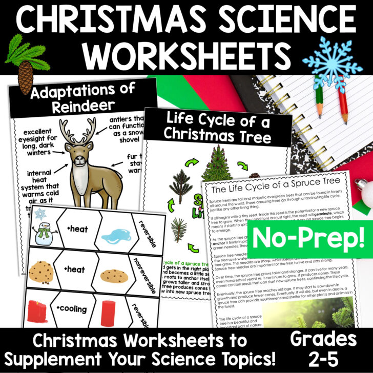 Free Christmas Science Worksheets