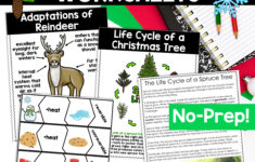 Christmas Science Worksheets No Prep Plants Animals Matter Winter within The Science Of Christmas Question Worksheet