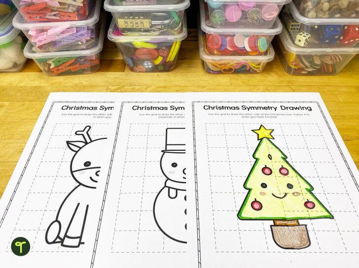 Symmetry Christmas Worksheets