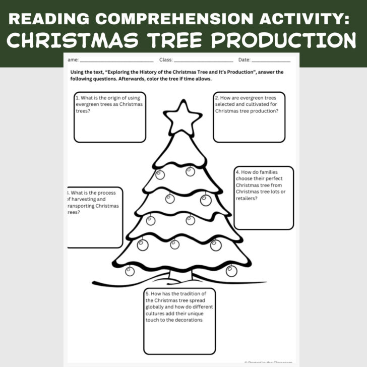 History of the Christmas Tree Worksheet