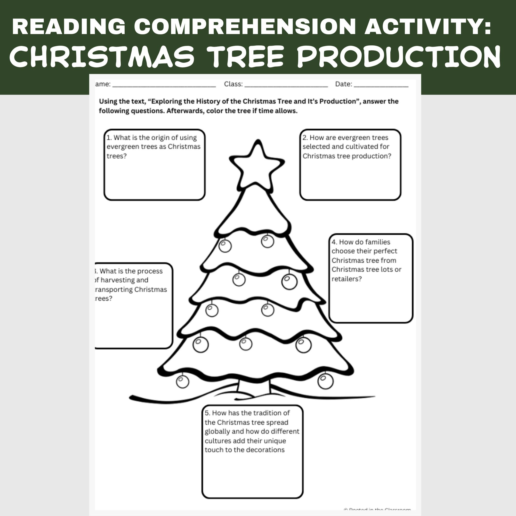 Christmas Tree Reading Comprehension Activity | Agriculture In The for History of the Christmas Tree Worksheet