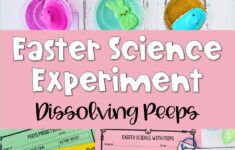 Easter Science Experiment: Dissolving Easter Peeps - Teaching With for Easter Science Worksheets