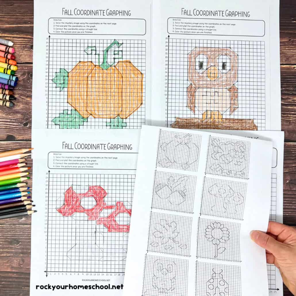 Coordinate Graphing Pictures: How To Use For Fall Fun (Free)- Rock throughout Thanksgiving Coordinate Graphing Picture Worksheets Free