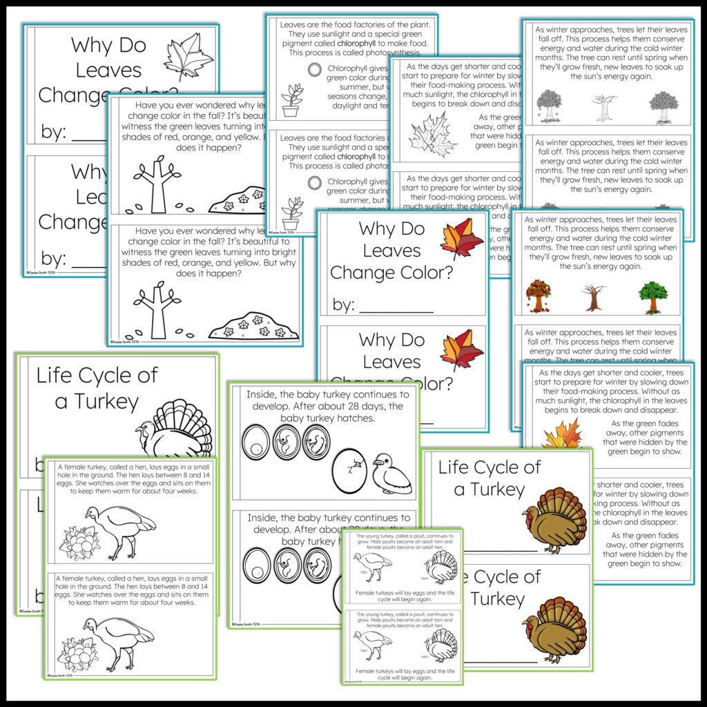 Thanksgiving Science Worksheet | Ronald Worksheets
