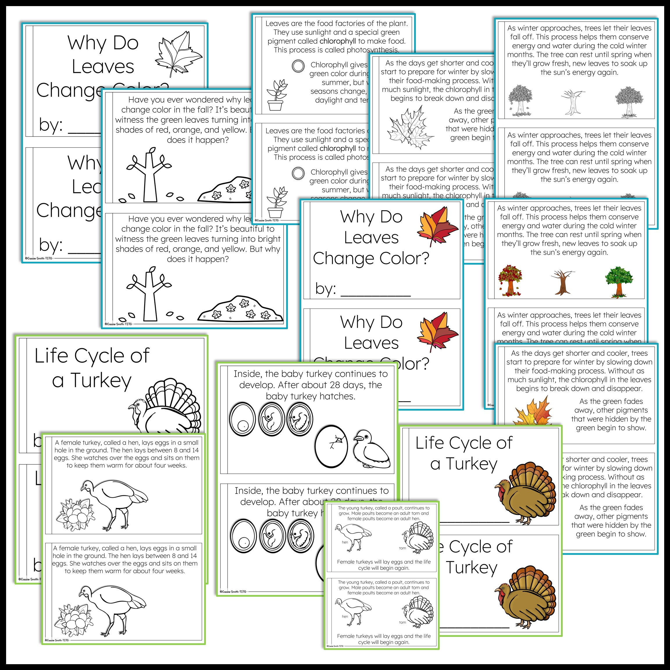 Thanksgiving Science Worksheets No Prep Acitivities - Thrifty In for Thanksgiving Science Worksheet
