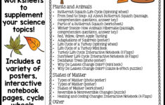 Thanksgiving Science Worksheets No Prep Acitivities - Thrifty In inside Thanksgiving 4th Grade Worksheets
