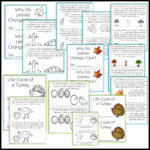Thanksgiving Science Worksheets No Prep Acitivities   Thrifty In Inside Thanksgiving Science Worksheets Free
