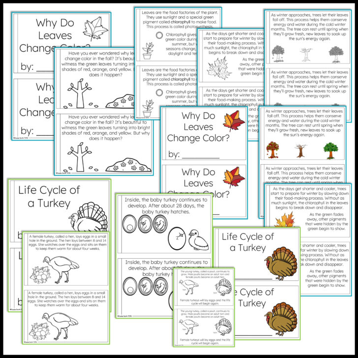 Thanksgiving Science Worksheets Free