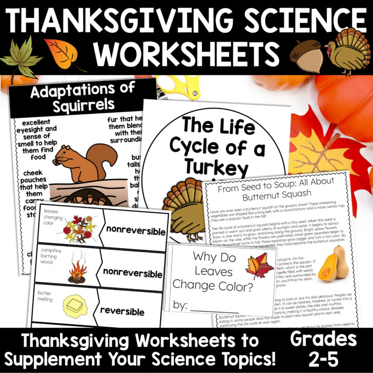 Science Thanksgiving Worksheets