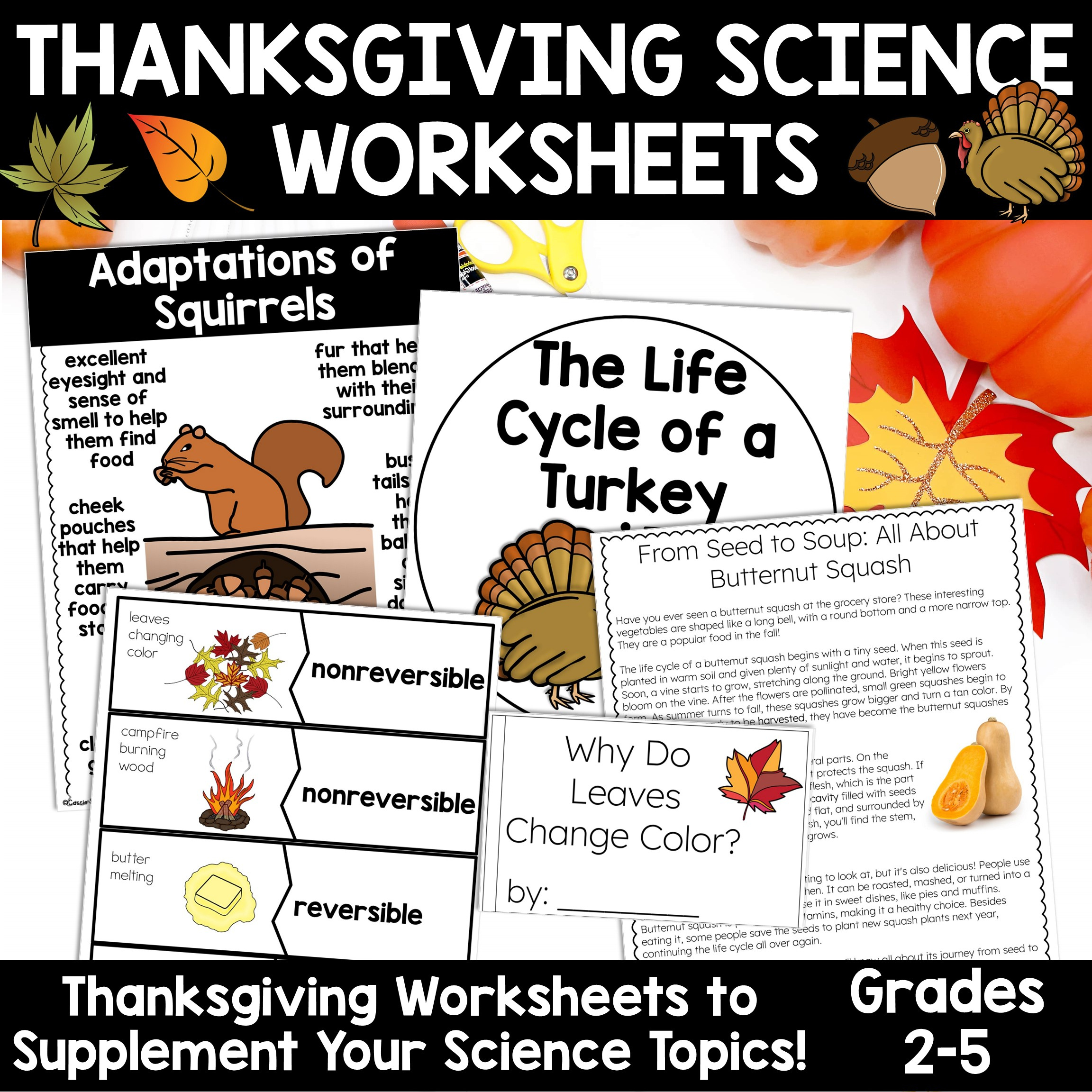 Thanksgiving Science Worksheets No Prep Acitivities - Thrifty In regarding Science Thanksgiving Worksheets