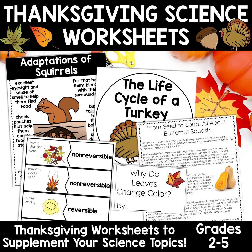 Thanksgiving Science Worksheets No Prep Acitivities - Thrifty In throughout The Science of Thanksgiving Worksheet