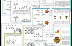 Thanksgiving Science Worksheets No Prep Acitivities - Thrifty In with regard to Science Thanksgiving Worksheets