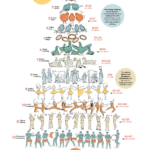 12 Days Of Christmas Song Gifts Cost This Much   Blog For Cost Of The 12 Days Of Christmas Worksheets