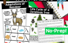 Christmas Science Worksheets No Prep Plants Animals Matter Winter inside The Science of Christmas Question Worksheets