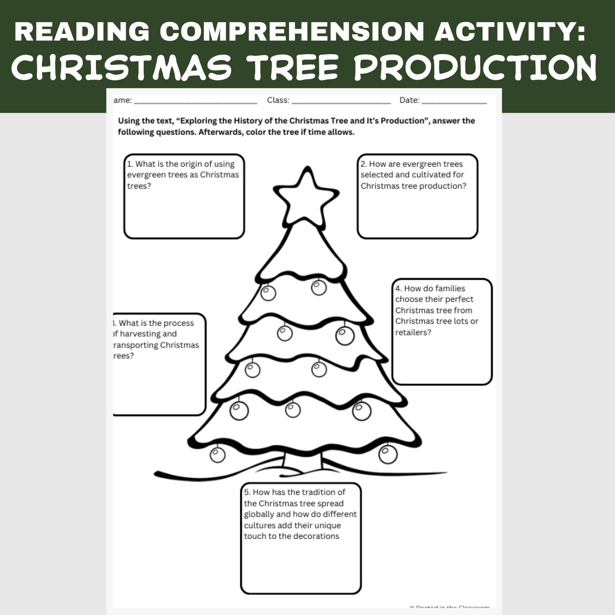 Christmas Tree Reading Comprehension Activity | Agriculture In The inside History Of The Christmas Tree Worksheets