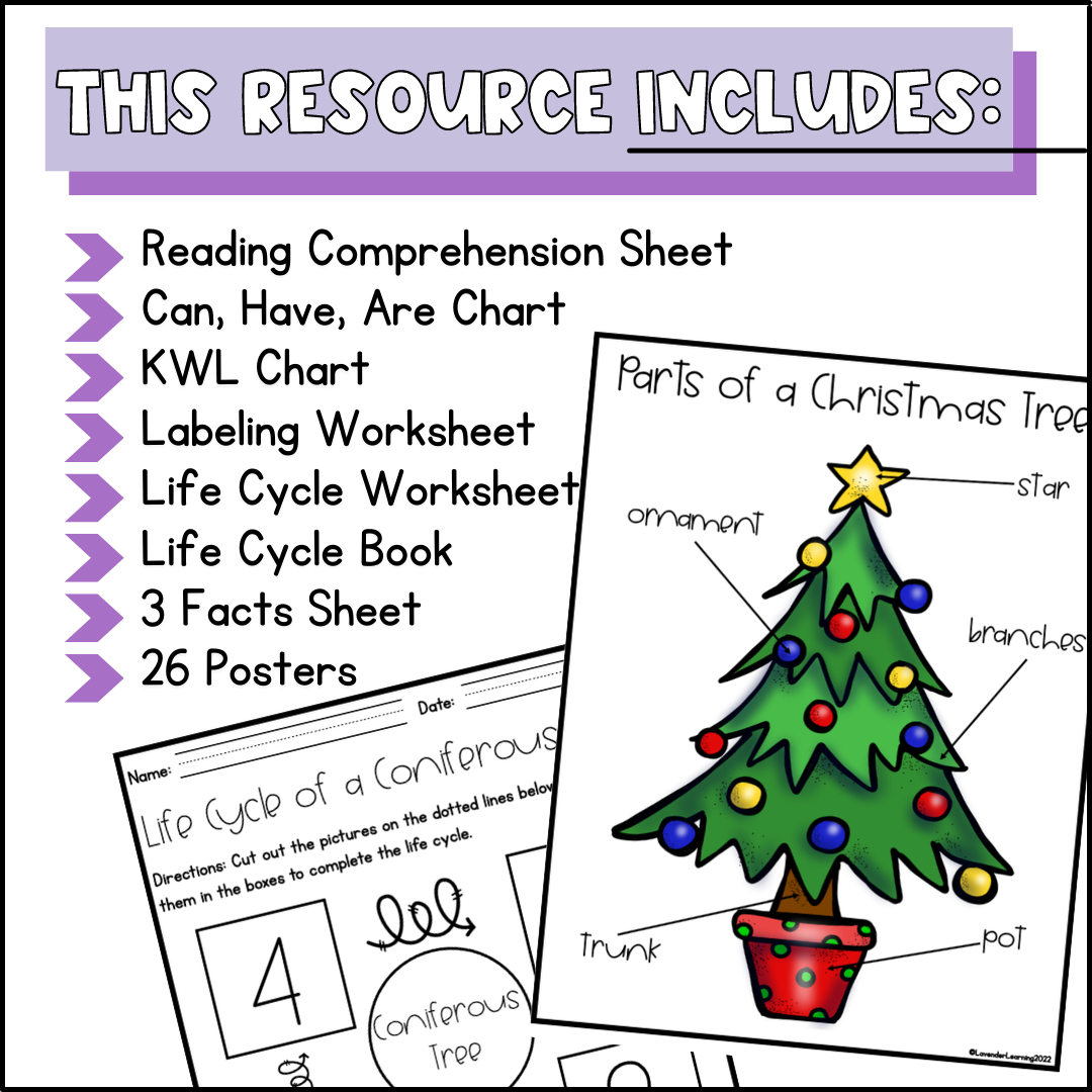 Life Cycle Of A Christmas Tree Activities, Worksheets, Booklet inside Life Cycle of a Christmas Tree Worksheets