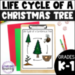 Life Cycle Of A Christmas Tree Activities, Worksheets, Booklet Regarding Life Cycle Of A Christmas Tree Worksheets