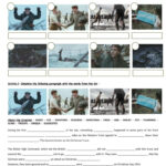 Ww1 : The Christmas Truce ( Sainbury…: English Esl Worksheets Pdf Inside The Christmas Truce Worksheets